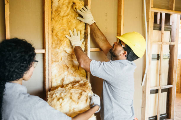 Best Insulation Contractors for Homes  in Crown Pot, IN