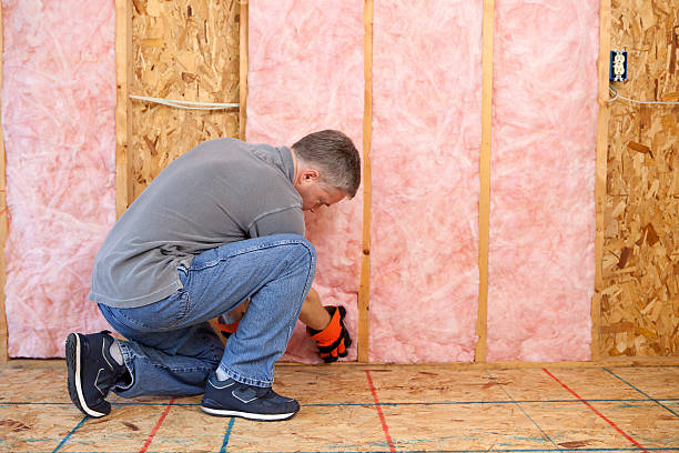 Best Professional Insulation Contractor  in Crown Pot, IN