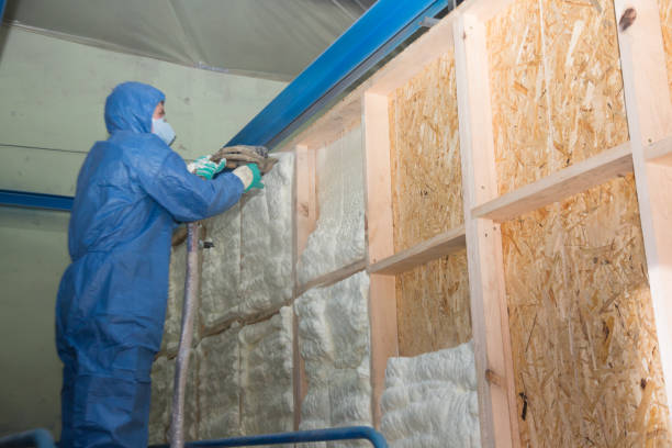 Best Insulation Inspection Services  in Crown Pot, IN