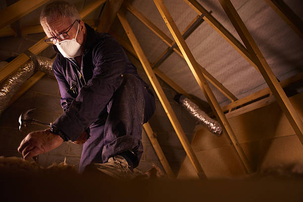Best Insulation Replacement Services  in Crown Pot, IN